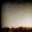 Filename=cover2.jpg
Filesize=1959KiB
Dimensions=1436x1425
Date added=Oct 30, 2007 cover2.jpg